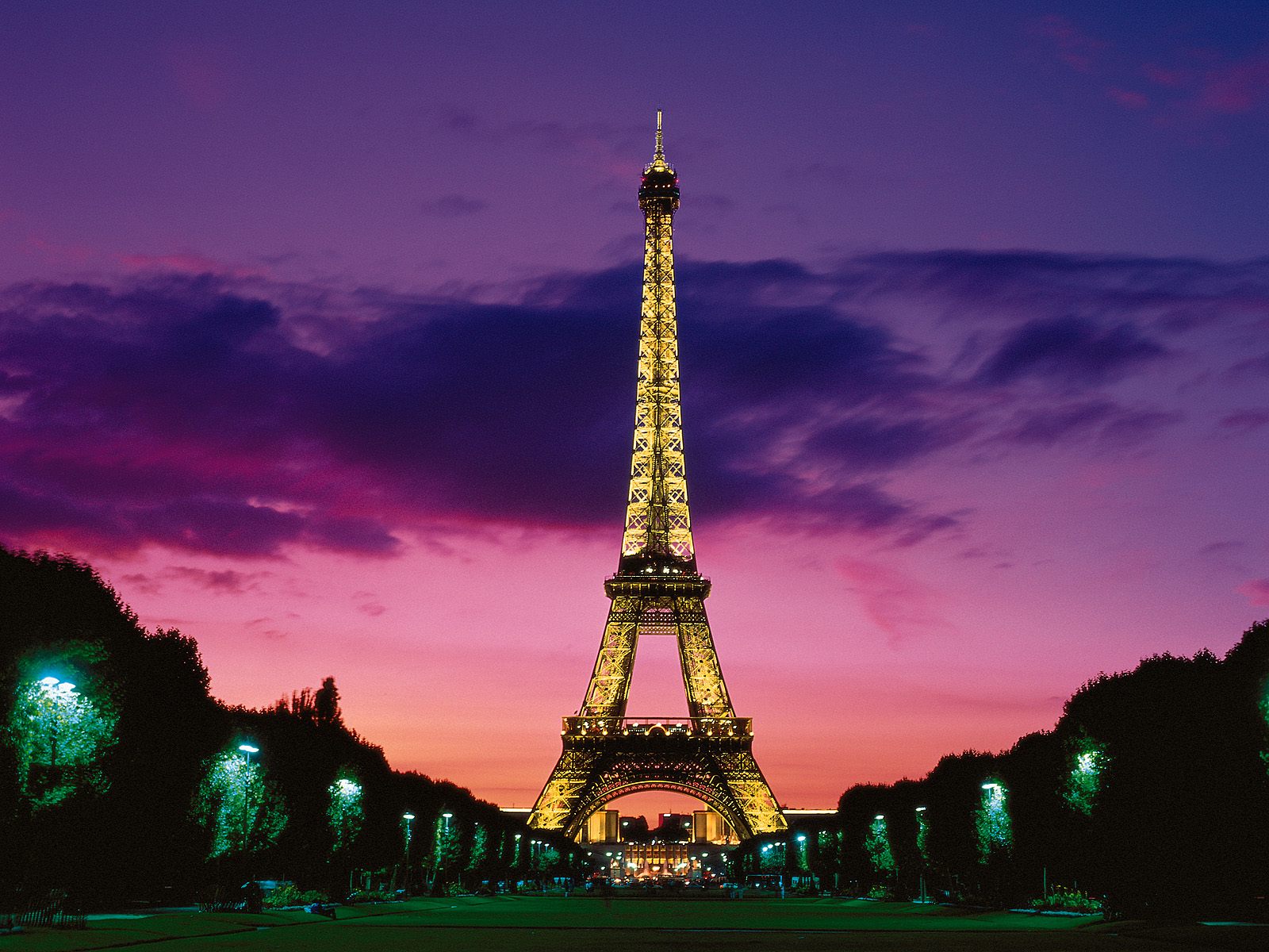 Eiffel Tower at Night Paris France1180116943